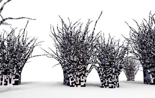 box-trees.jpg